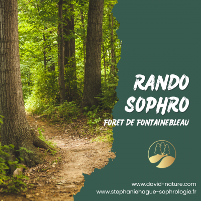 rando sophro forêt Fontainebleau